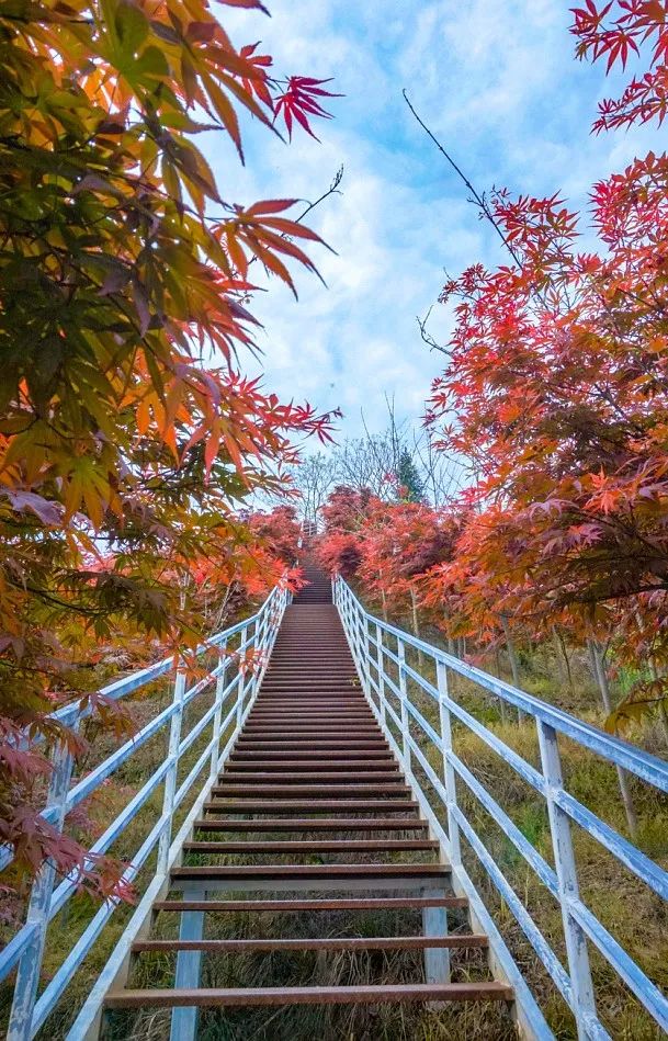 绵德双城记 || 登高望远畅舒怀，景色宜人清风徐来，爬山好去处，一起运动吧~