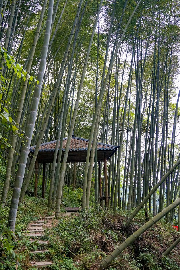 绵德双城记 || 登高望远畅舒怀，景色宜人清风徐来，爬山好去处，一起运动吧~