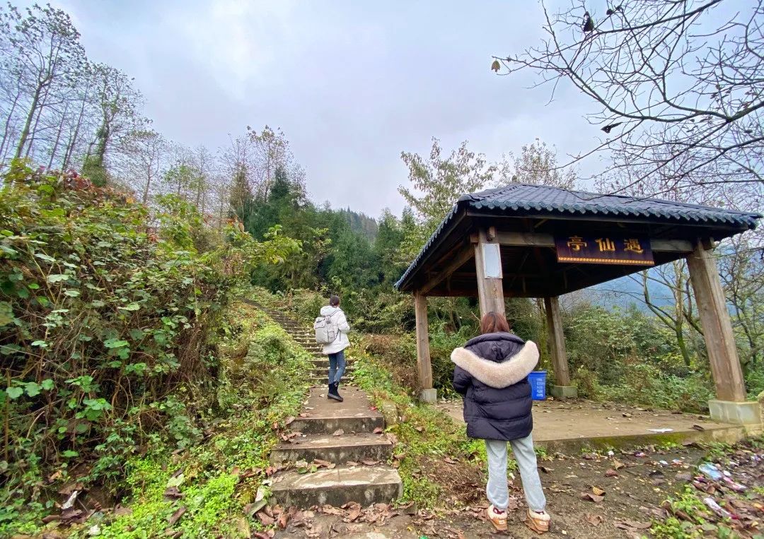 绵德双城记 || 登高望远畅舒怀，景色宜人清风徐来，爬山好去处，一起运动吧~