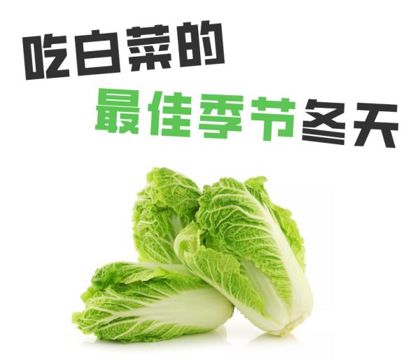 大白菜最全“食用指南”，让你的每一口都充满营养