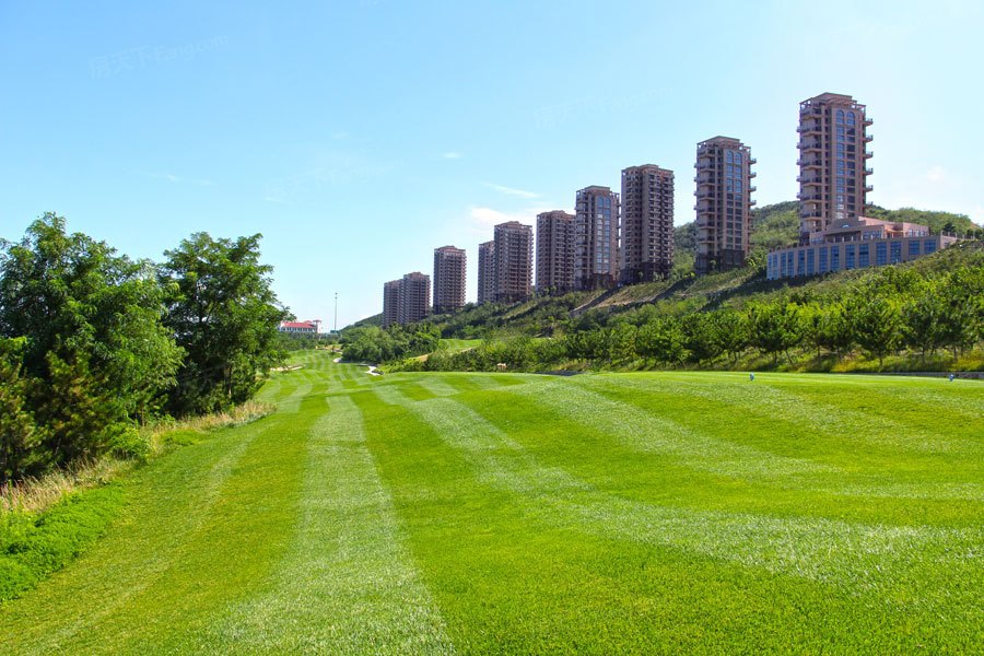 龙口超高人气小区丹岭云天阁 VS 憩园？