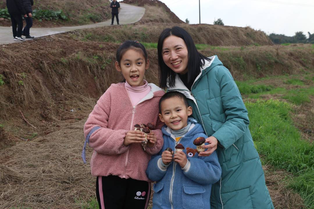 四川泸州龙马潭：秸秆里长出“致富菇”产业带动有盼头
