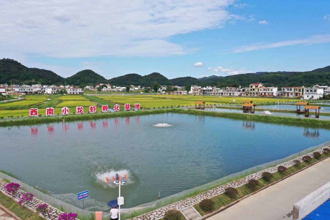 宜宾市兴文县：大数据赋能，城乡更“智慧”