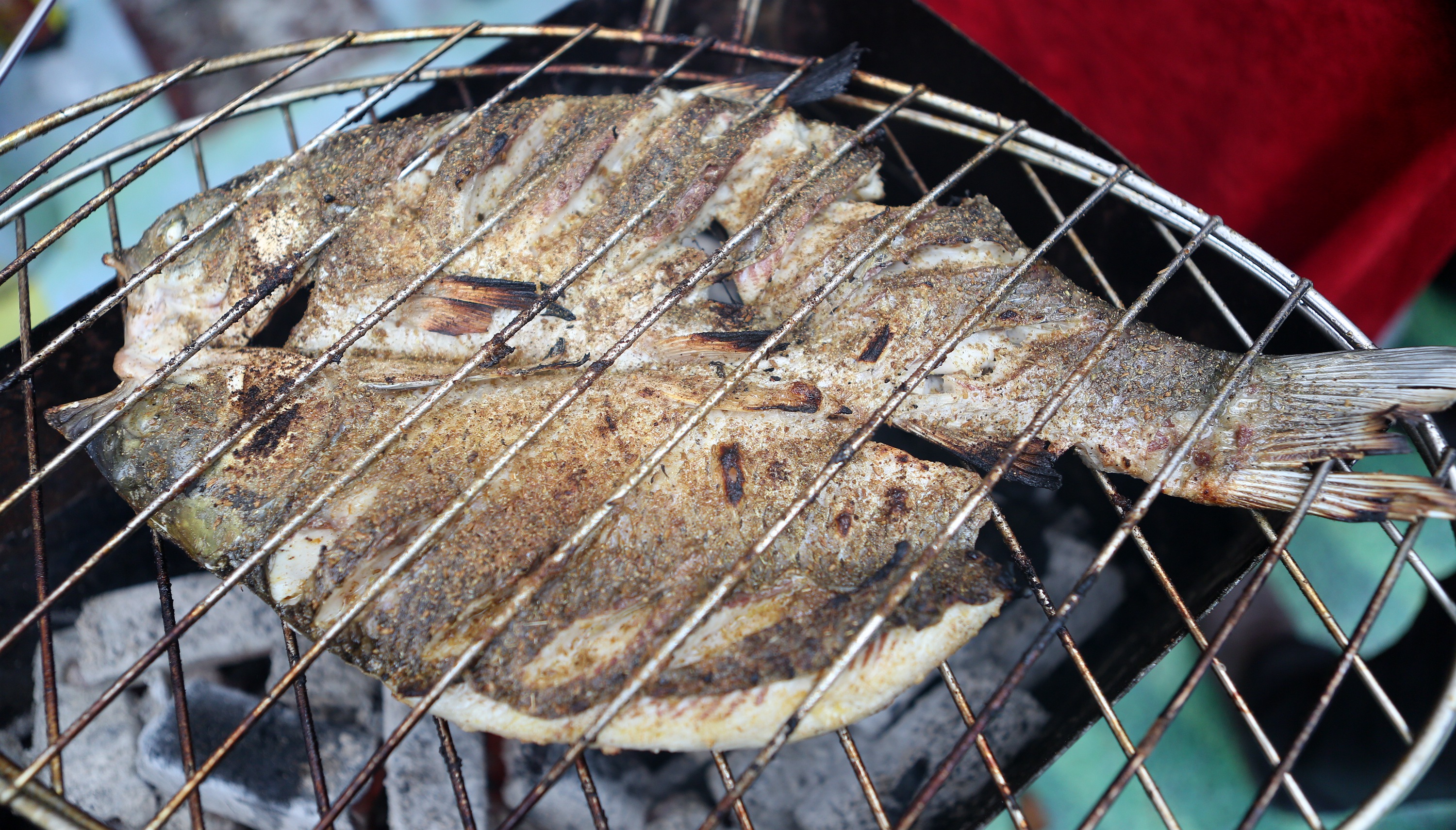 巫山烤魚(yú),巫山烤魚(yú)怎么做
