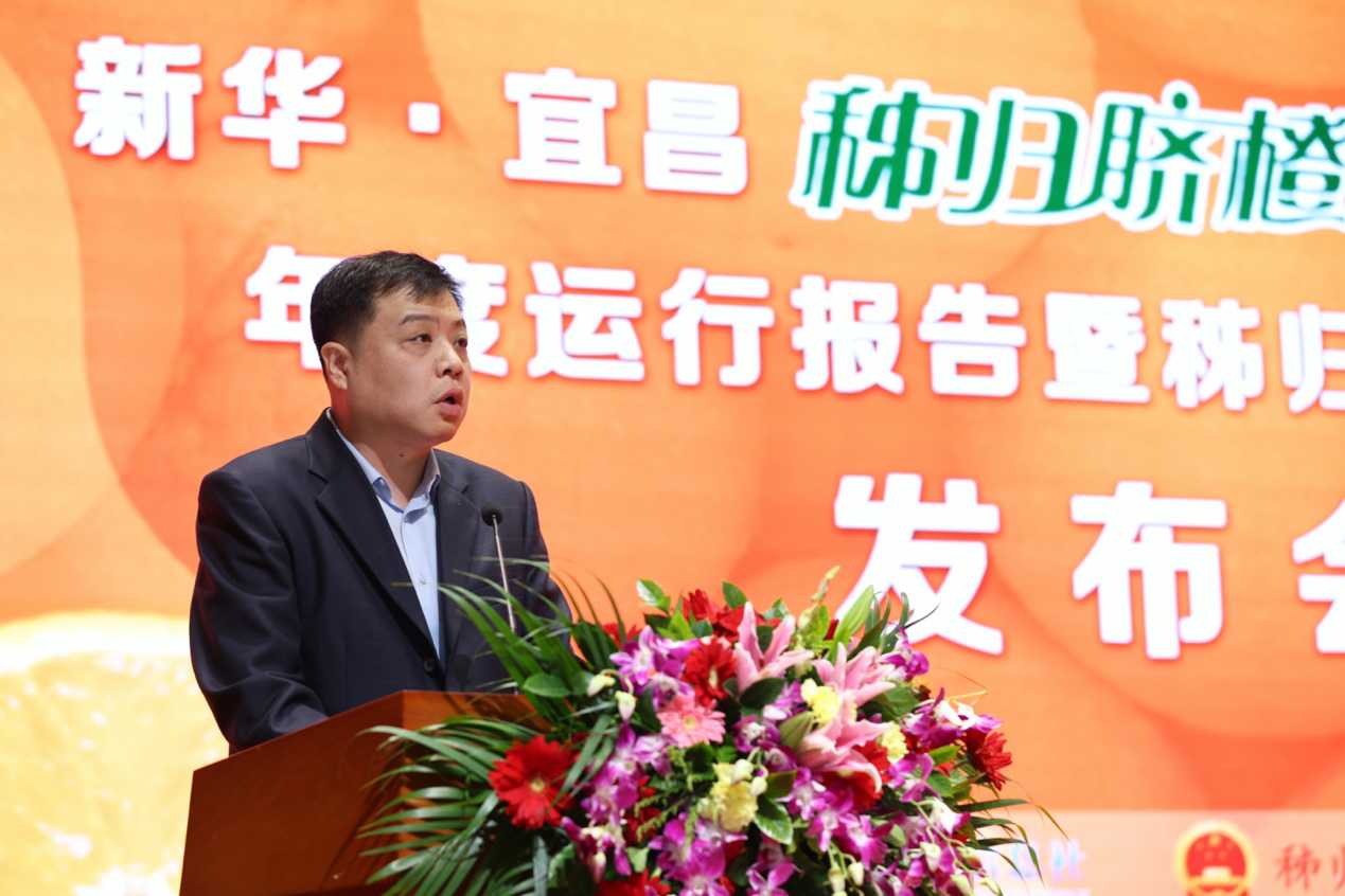 新华·宜昌秭归脐橙®系列价格指数年度运行报告暨秭归优质果标准发布
