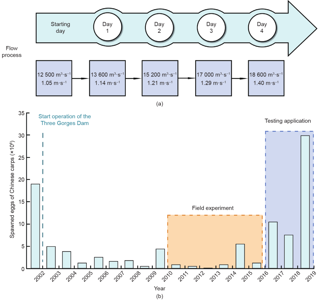 建壩河流魚類繁殖的流速調(diào)控丨Engineering