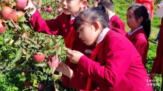 昆明这所小学一二年级学生，将迎来一场特别的期末考试