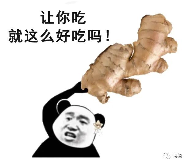 圣诞节为什么要送姜饼人（圣诞节送姜饼）