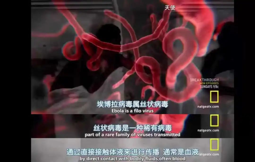 埃博拉病毒僵尸埃博拉病毒僵尸咬人