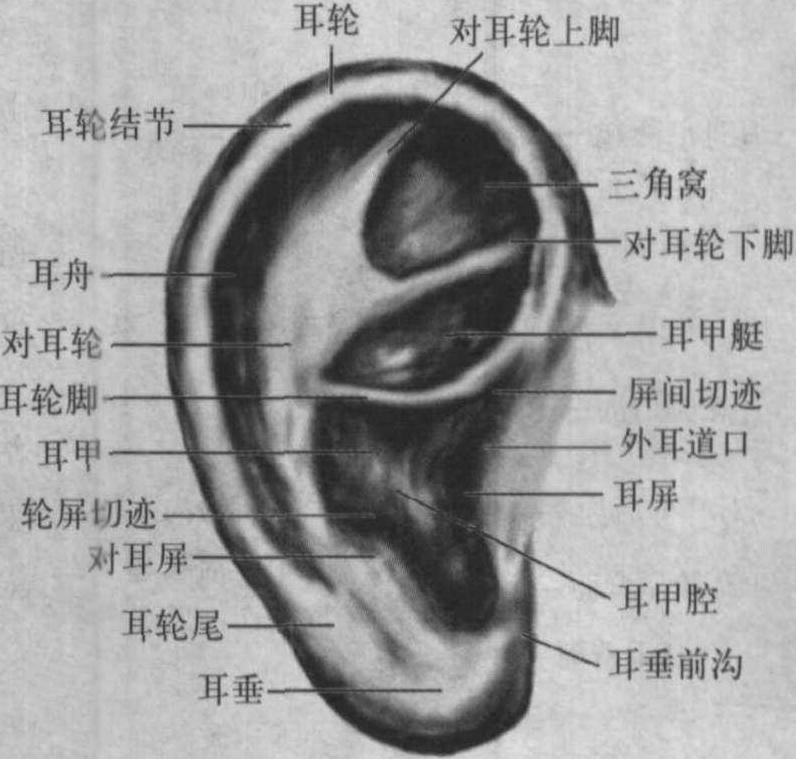 音箱耳机入门 耳机的基本分类2021增补版 「夏昆冈」