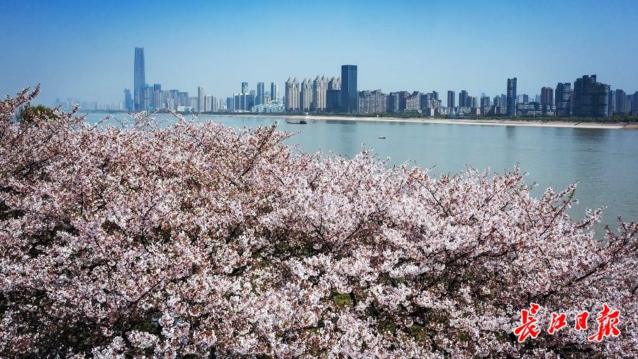 中国幸福感城市排名（2021中国最具幸福感城市）