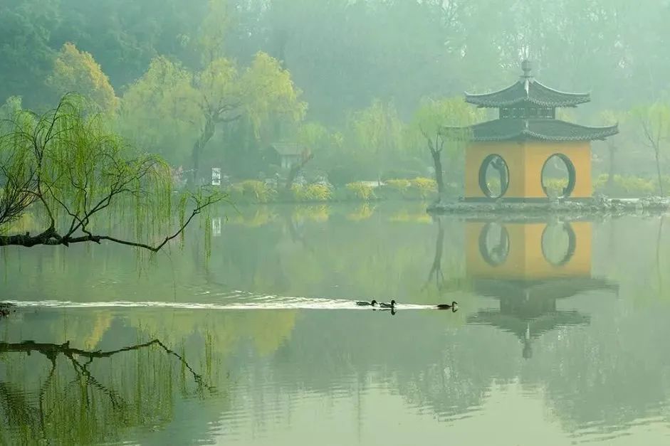 文明之美看东方｜走近大运河，走近活着的遗产走廊