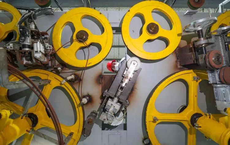 攻下世界性难题，湖州这家企业与“虎”谋皮敢为先