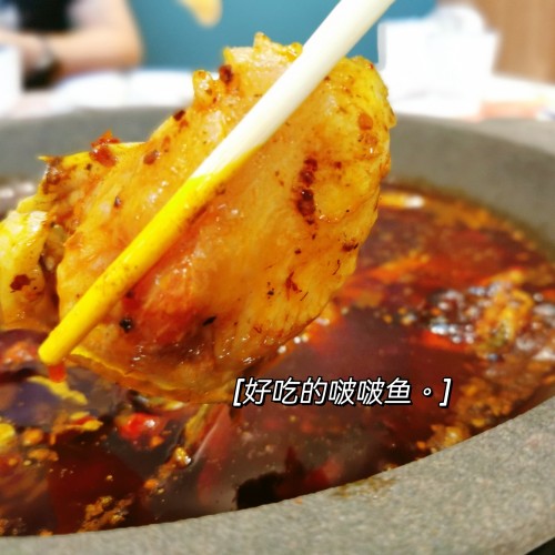 石鍋魚的做法,石鍋魚的做法和配方