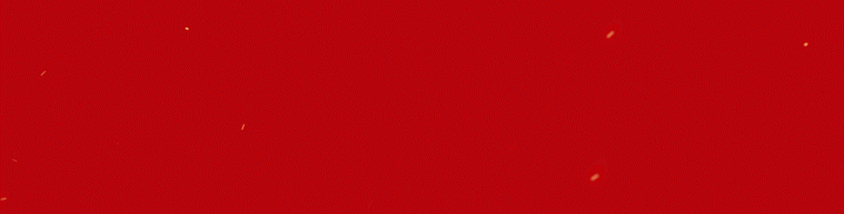 点赞 | 上海交大发来喜报！这些枞阳学子真牛！