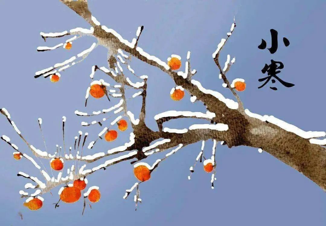 小寒养生重在养肾温阳，推荐七款经典汤膳
