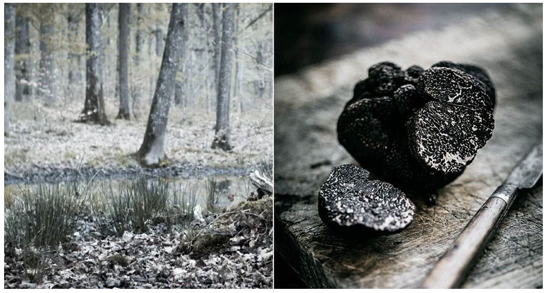 小茂专家团特别版｜雅诗兰黛黑松露眼霜