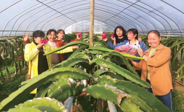 客運司機“退役”當起農場主 帶著鄉(xiāng)親們一起致富