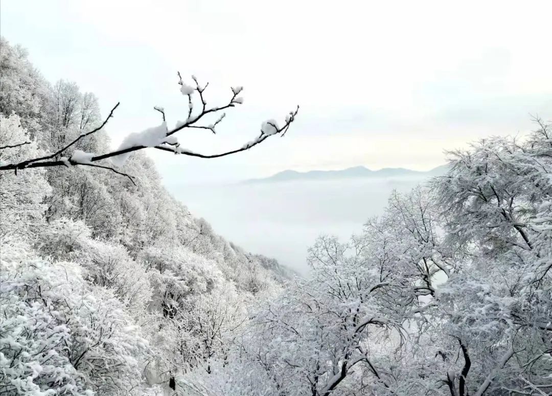 岐山最高峰——石榴山的雪景，美爆了！