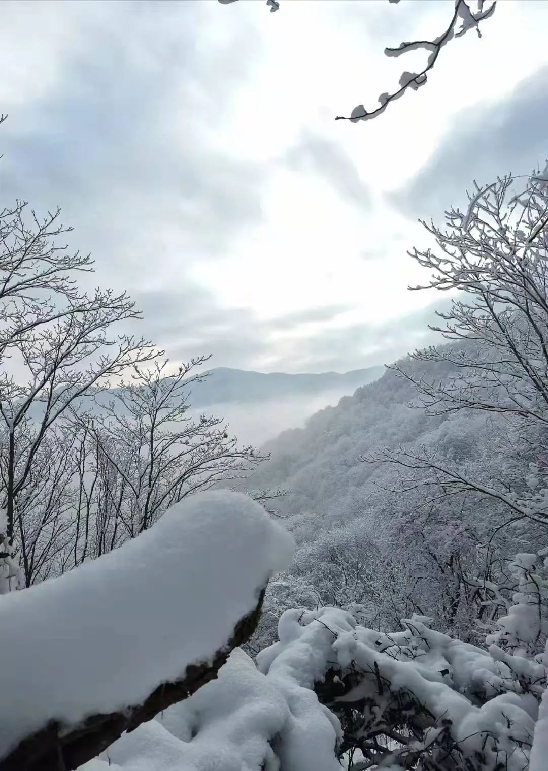 岐山最高峰——石榴山的雪景，美爆了！