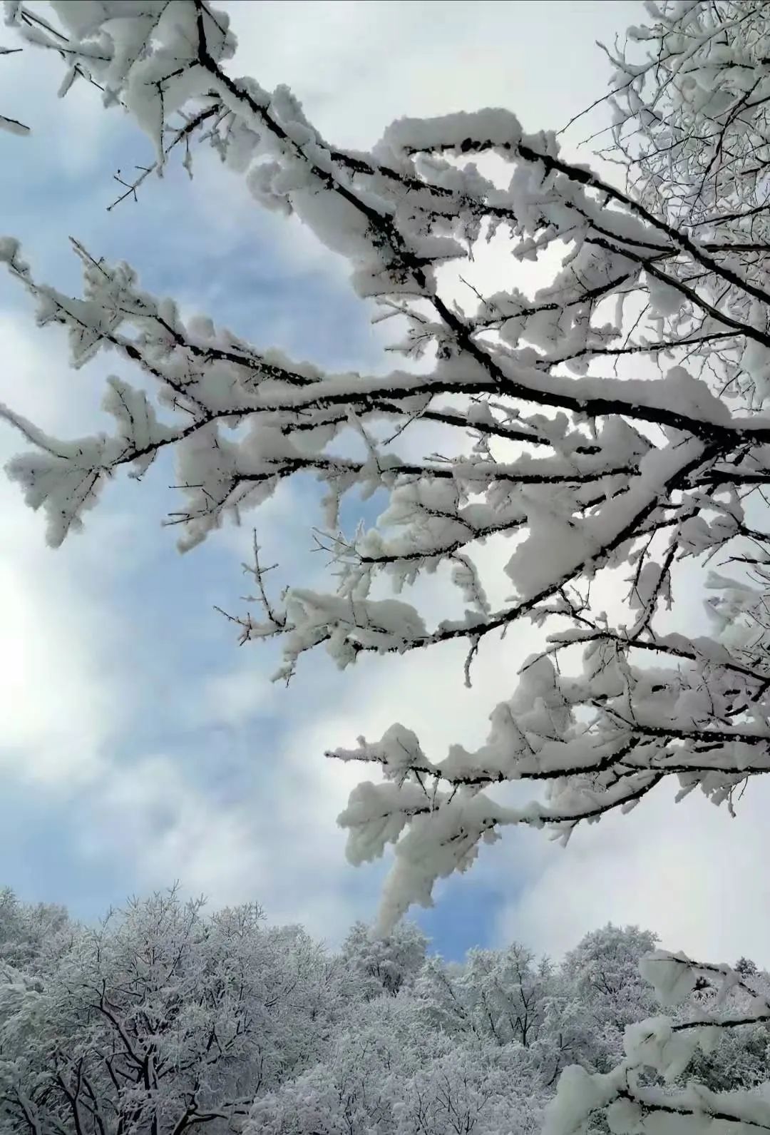 岐山最高峰——石榴山的雪景，美爆了！