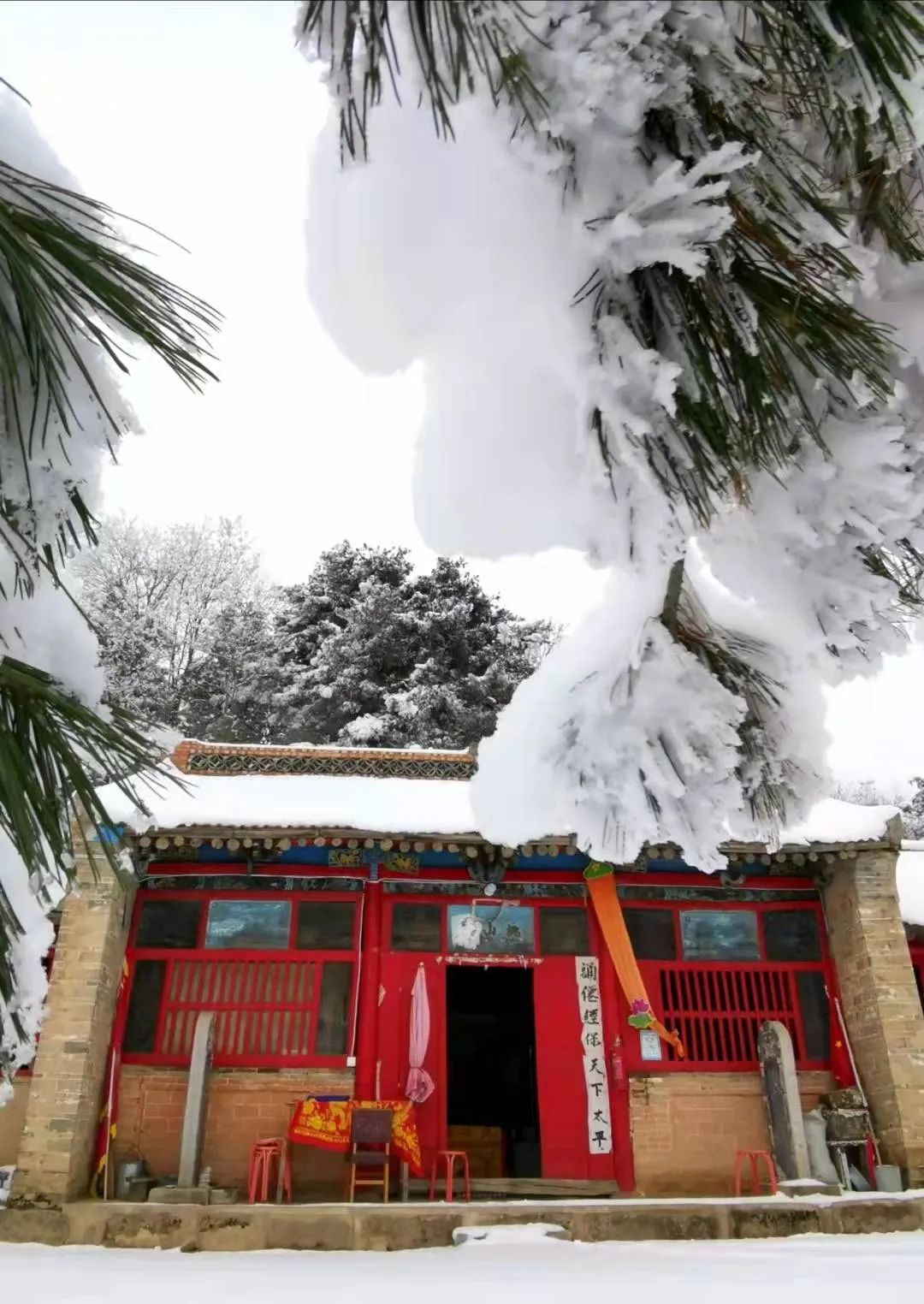 岐山最高峰——石榴山的雪景，美爆了！