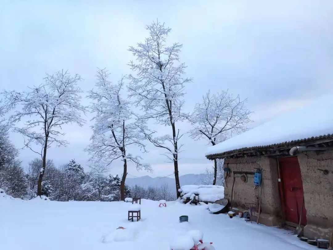 岐山最高峰——石榴山的雪景，美爆了！