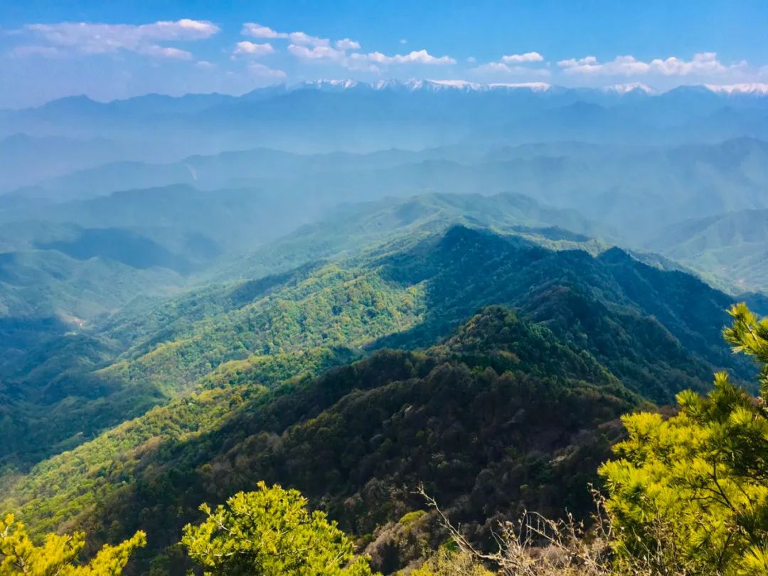 岐山最高峰——石榴山的雪景，美爆了！