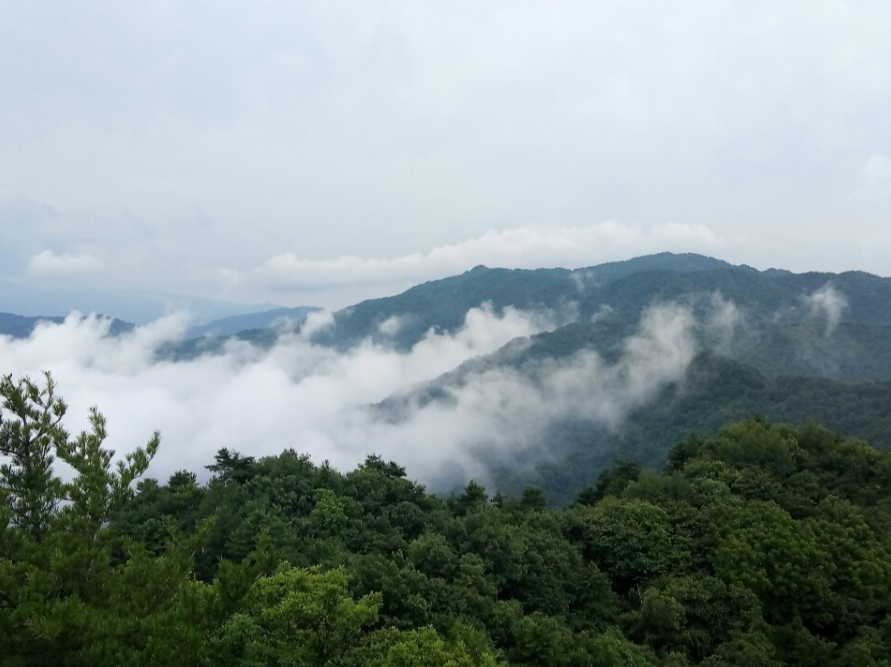 岐山最高峰——石榴山的雪景，美爆了！