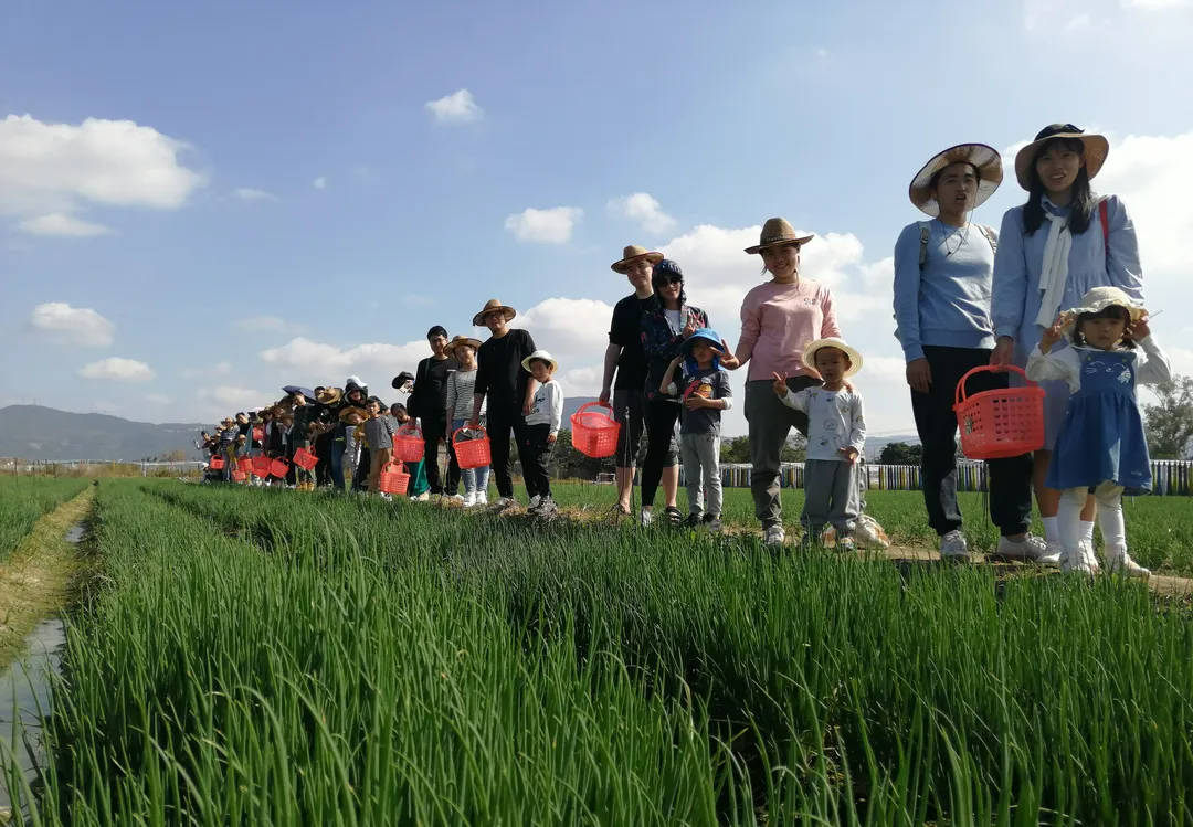 草莓红了,瓜果熟了.翔安这些田园采摘不要错过!