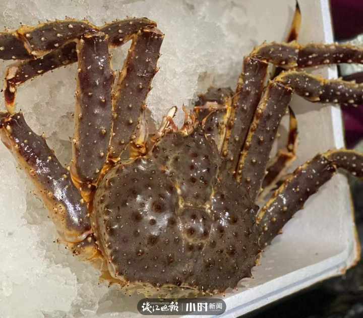 海鲜灵市面第二弹：帝王蟹涨价，但象拔蚌居然跌到两位数，想尝鲜的更待何时？