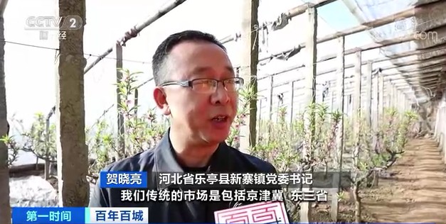 這種“致富果”，一年四季都能產(chǎn)果啦！這個(gè)縣靠它年入10億元！怎么做到的→