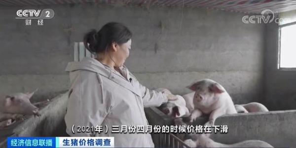 豬肉價(jià)格跌破8元！均價(jià)同比“腰斬”！接下來怎么走？