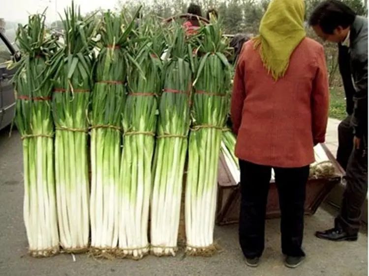 我国这些地方，竟把控着全球的吃喝玩乐