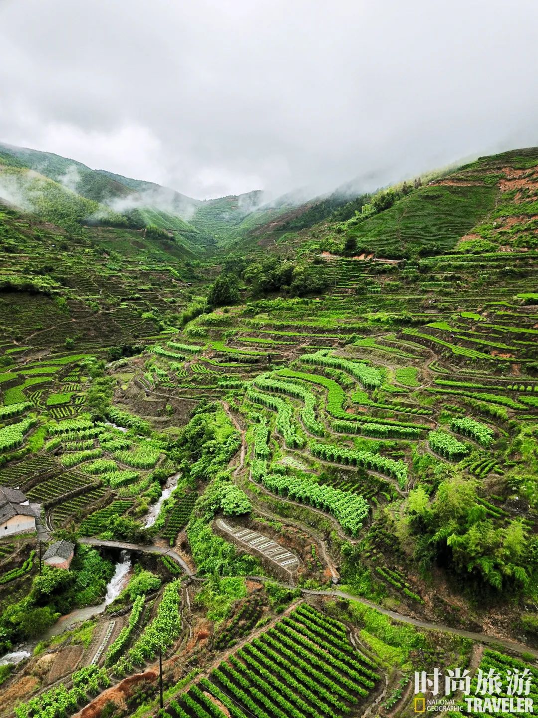 看过他们的旅行经历，我承认我慕了