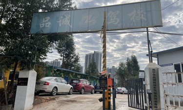 钦州9岁女童被同学撞倒去世捐献7个器官，后续：涉事学校道歉并赔偿