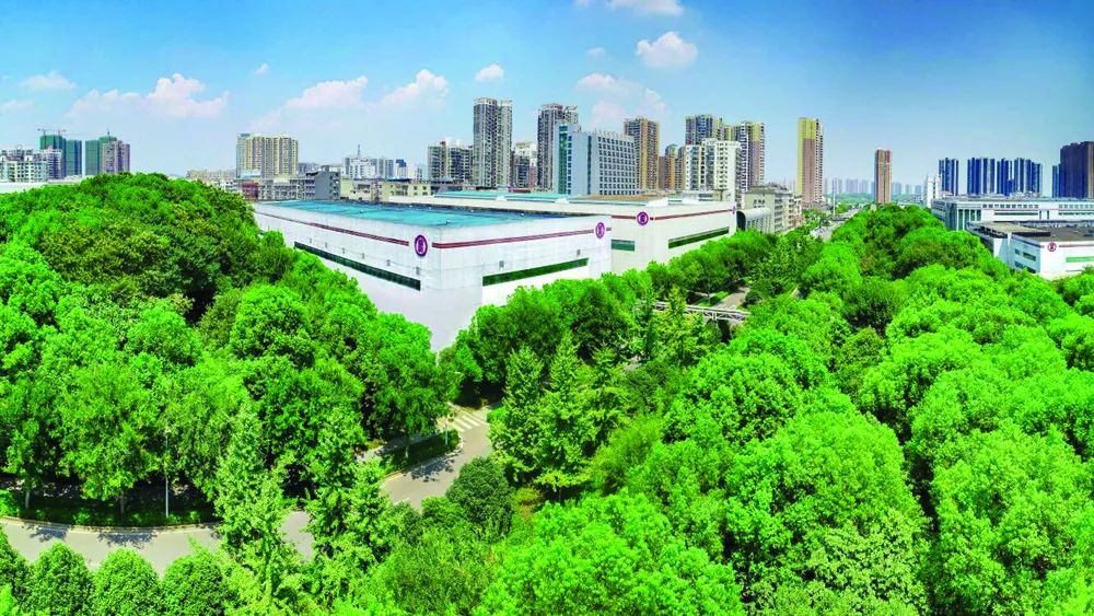 劲牌公司：六十余年风头正劲 品质酿造阳光品牌