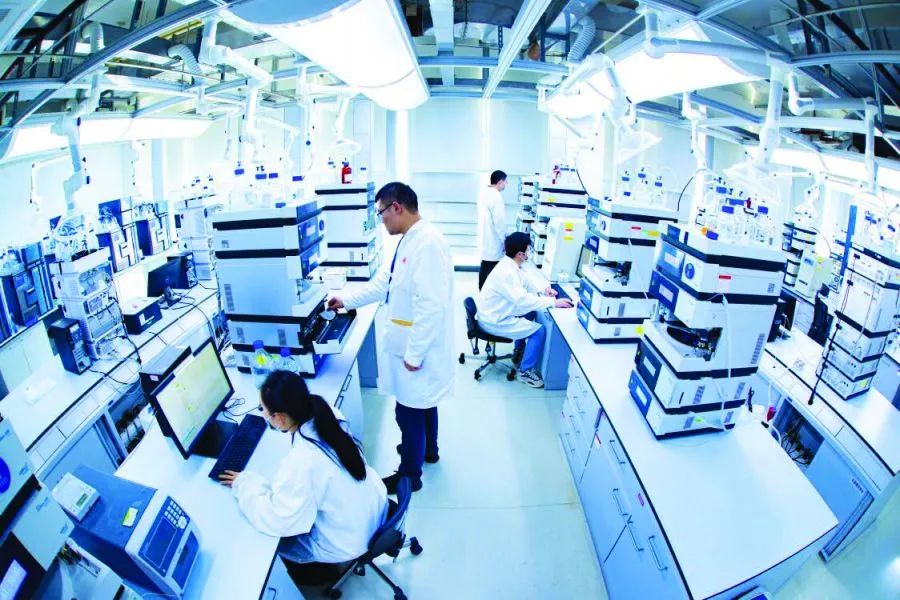 劲牌公司：六十余年风头正劲 品质酿造阳光品牌