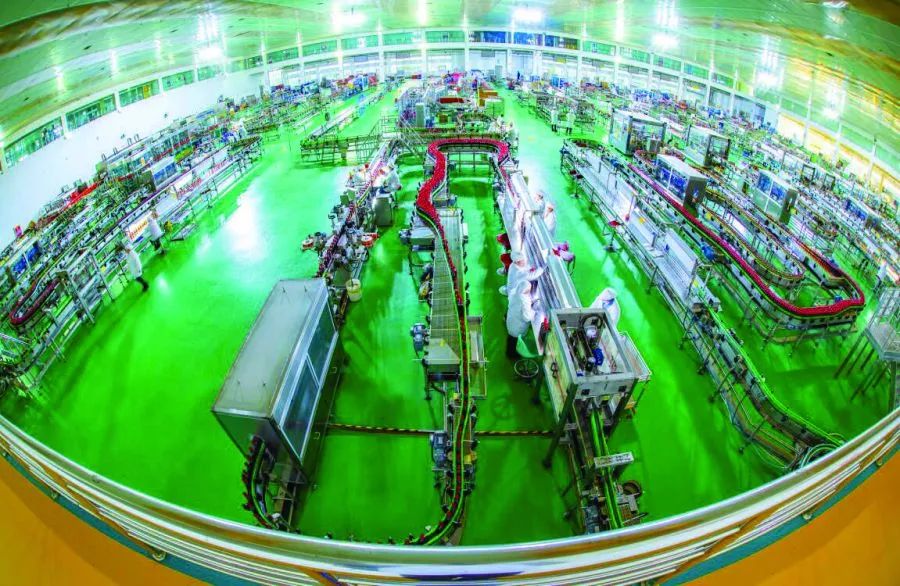 劲牌公司：六十余年风头正劲 品质酿造阳光品牌