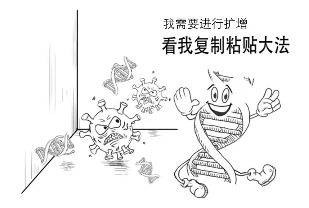 一份核酸檢測報告是怎樣誕生的？