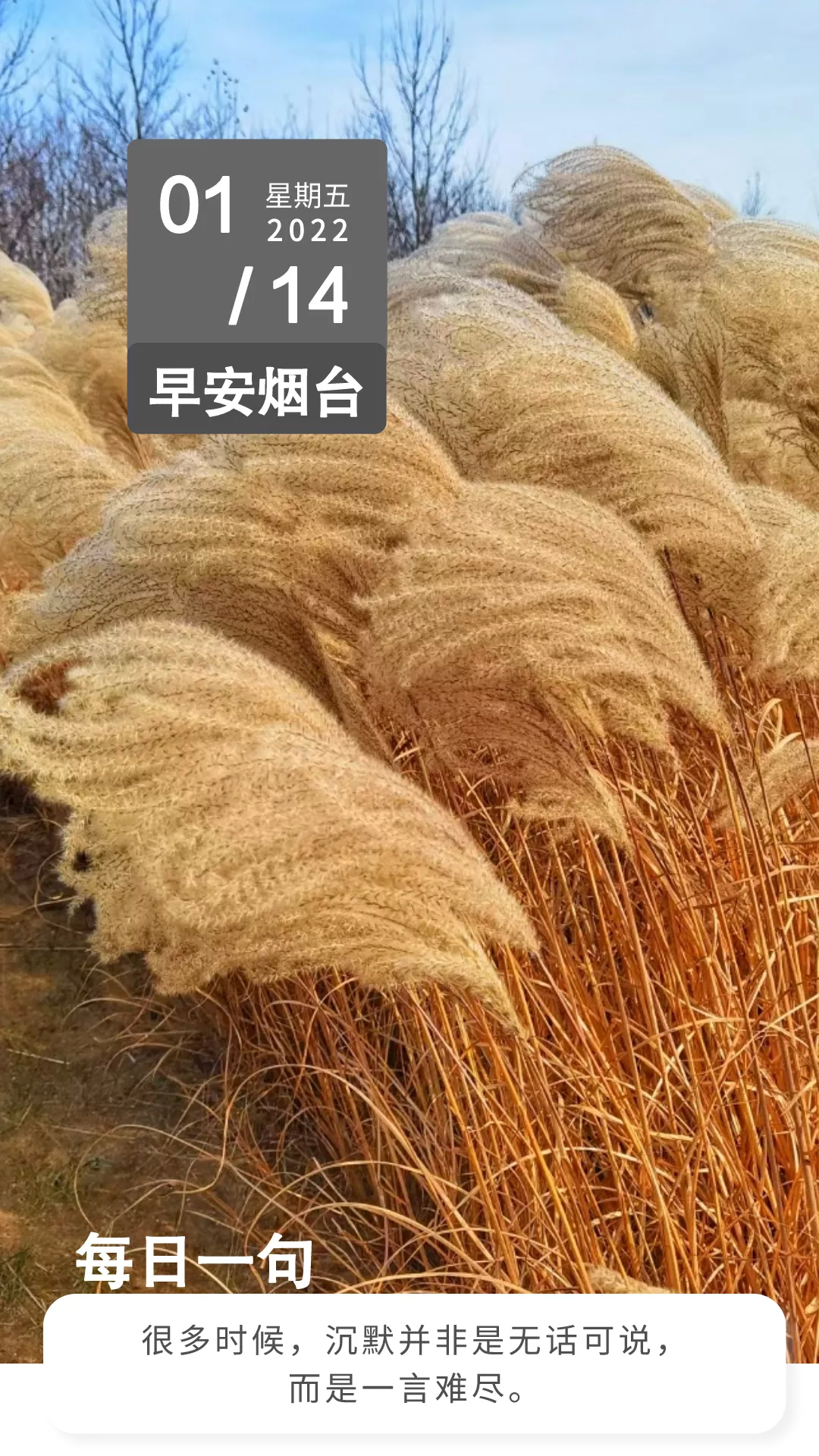 早安，烟台（01月14日）——72岁福山汽车站将停运
