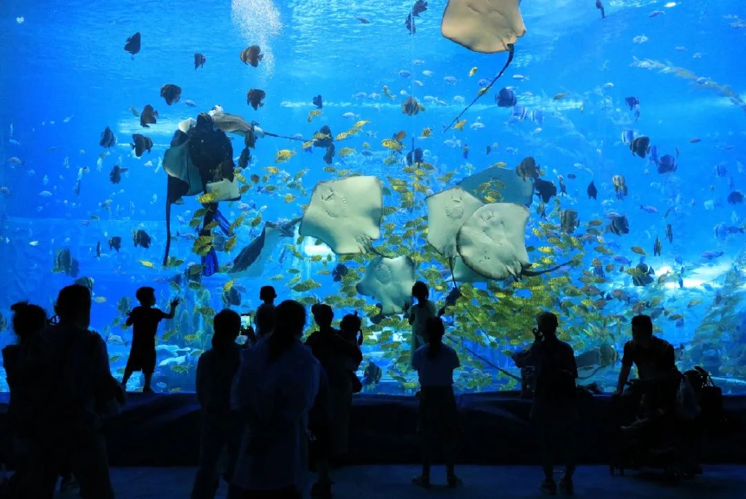 桂林的乐园，是又温柔又童真的“治愈系”存在 | 春节在广西怎么玩