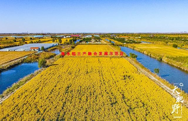 近代化启示录：从イ坊学了什么。大视野