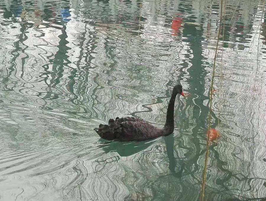 雨兰美文/享受在路上的感觉