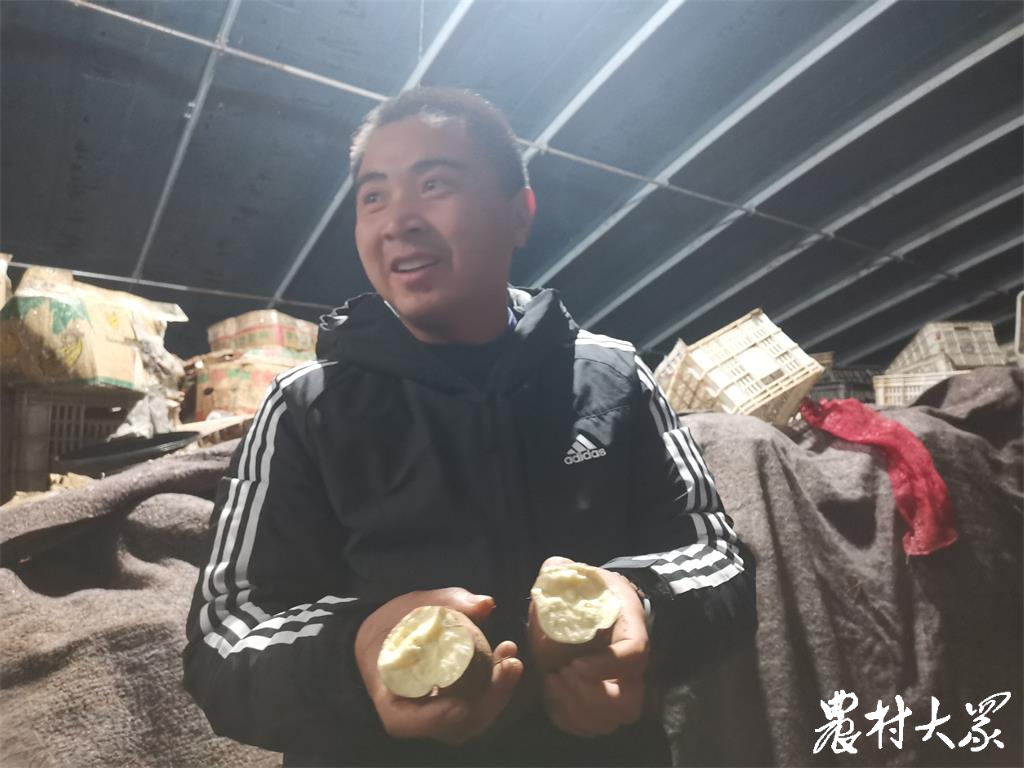 賣烤地瓜掙了錢，回鄉(xiāng)搞地瓜育種，這個(gè)農(nóng)民工和“地瓜”杠上了