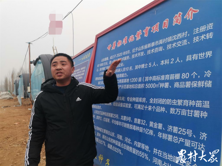 賣烤地瓜掙了錢，回鄉(xiāng)搞地瓜育種，這個(gè)農(nóng)民工和“地瓜”杠上了