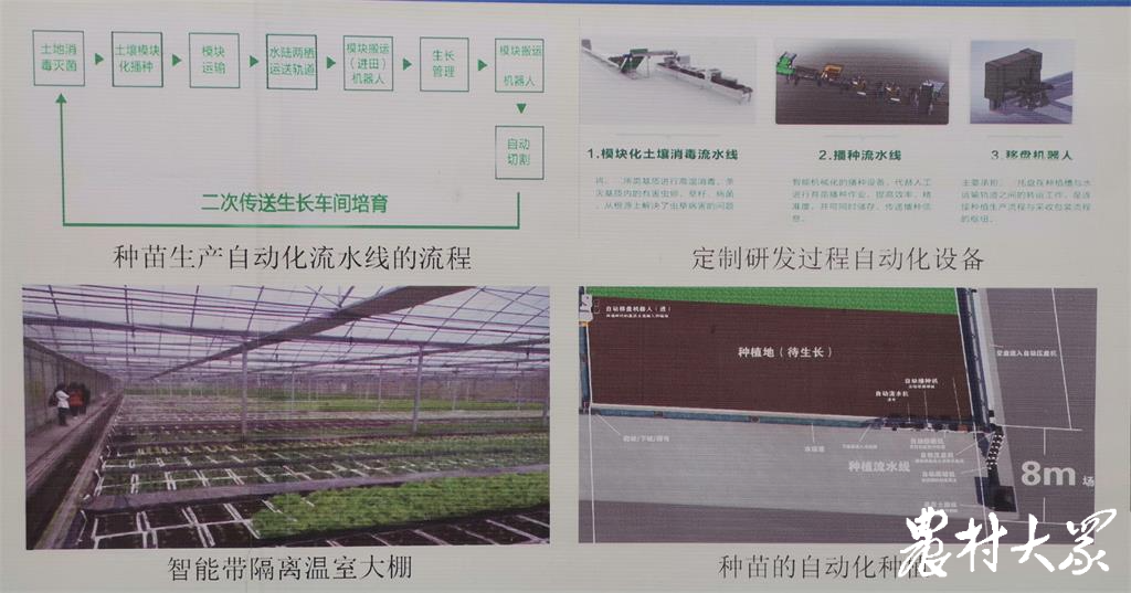 賣烤地瓜掙了錢，回鄉(xiāng)搞地瓜育種，這個(gè)農(nóng)民工和“地瓜”杠上了
