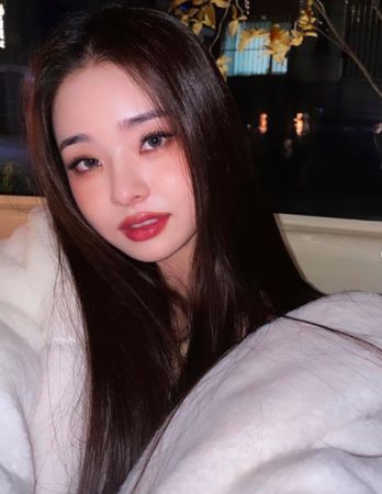 宋智雅又出包！「背DIOR山寨包」拍DIOR业配 公司认：我们的错