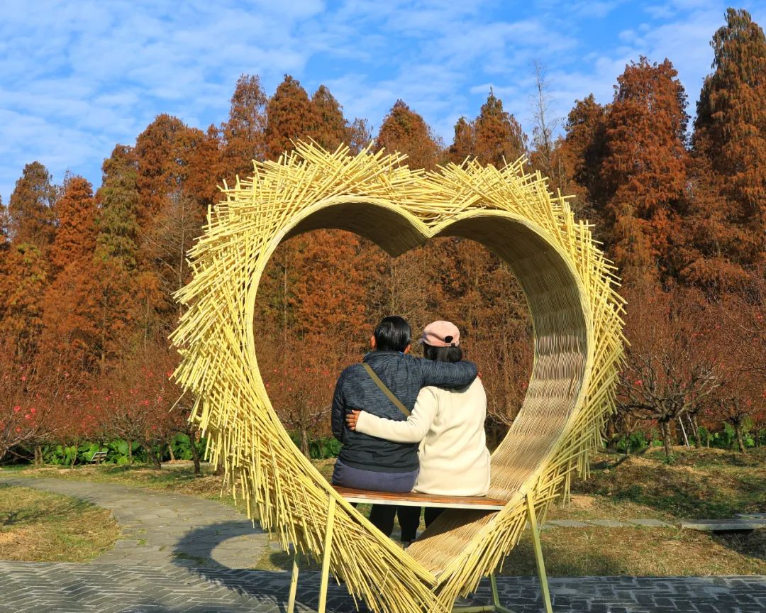 桃之夭夭 灼灼其华！七星岩桃花满树，万枝丹彩灼春融！