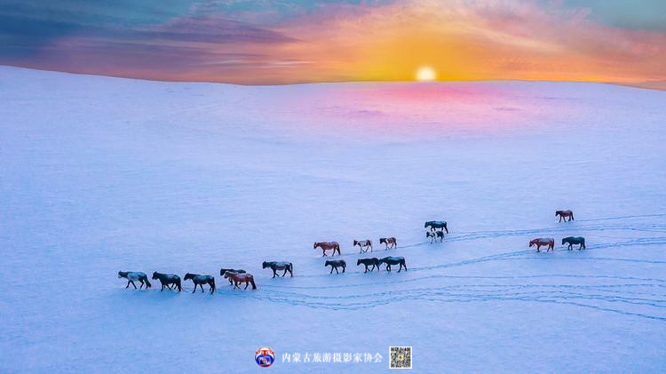 静谧风韵芳菲醉 雪色草原唤岁来